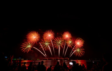 Silhouette people come to join celebration day with beautiful firework  sparkle colorful in the sky on firework festival