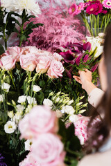 Cropped view of female florist taking celosia from rack of flowers with blurred roses on foreground