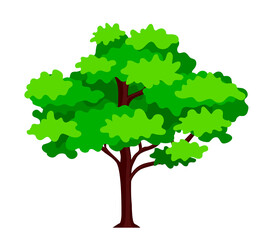 Green tree plant vector illustration. Tree for decorating gardens and home designs.