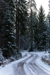 Snowy road in winter forest. Beautiful frosty white landscape.