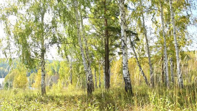 Spring landscape with hills and lake. Slider. Dolly