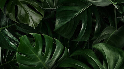 Fototapeta na wymiar Green leaves nature background wallpaper