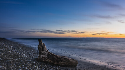 The sun went down. Dusk. The blue sky is backlit with orange, light clouds above the horizon. A picturesque weathered log lies on a pebble beach. The sea is calm. Russia