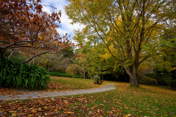 Autumn at Tieve Garden, Mount Macedon