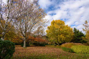 Autumn at Tieve Garden, Mount Macedon