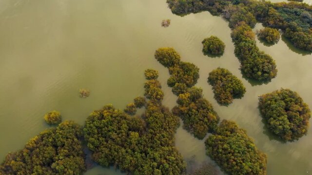 Archipi&eacute;lago en r&iacute;o
