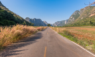 A rural road with grass flowers and mountains along the way to beautiful nature.