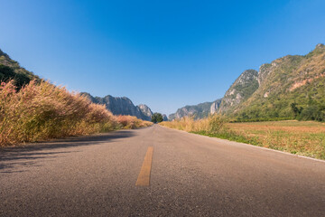 A rural road with grass flowers and mountains along the way to beautiful nature.