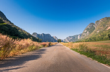 A rural road with grass flowers and mountains along the way to beautiful nature.