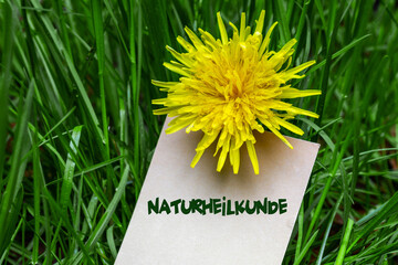 Naturheilkunde