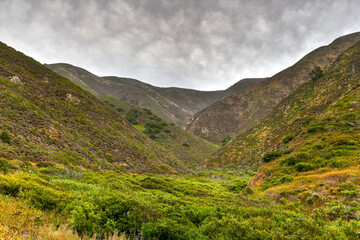 Naklejka premium Garrapata State Beach - California