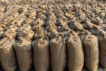 food grains filled in jute bag lying in grain market