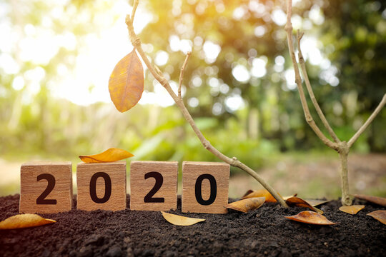 Goodbye, farewell, closing, ending and yearend 2020 concept. A tree branch with a single remaining last leaf hanging beside a 2020 year in wooden blocks at sunset. 