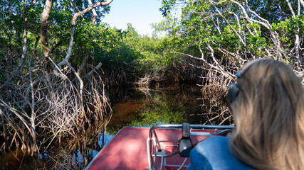 Boat on mangroves 