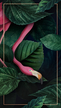 Tropical Flamingo On A Golden Frame