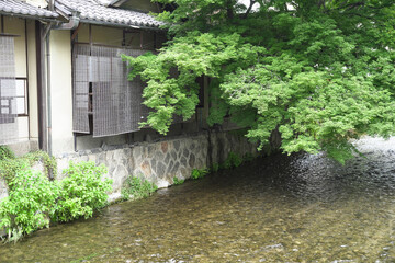 kyoto landscapes