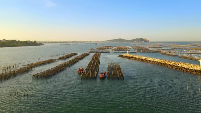 Inshore fisheries construction 