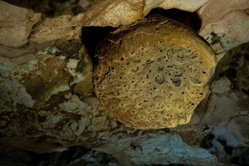 Interior view of the Mammoth cave in the Republic of Crimea, Russia. October 2, 2020