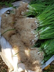 Green Vegetables in Indian Vegetable market