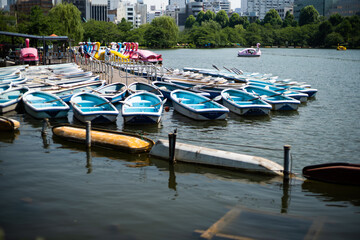 ueno landscape