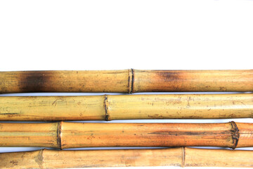 Yellow bamboo on white isolated background