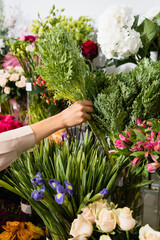 Cropped view of florist taking green plant from rack of flowers on blurred background