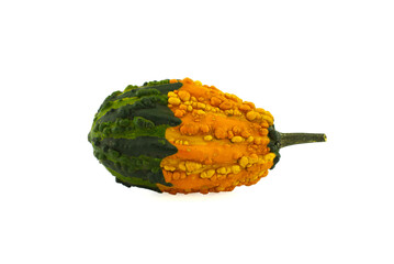 Decorative warty pumpkin isolated on white