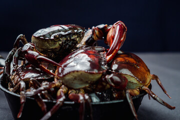 Raw fresh field crab