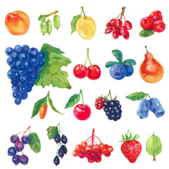 Set of acrylic or gouache juicy ripe berries