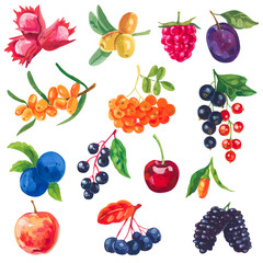 Set of acrylic or gouache juicy ripe berries, nuts and fruits