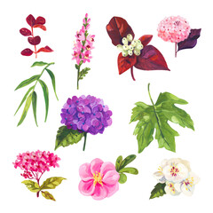 Hand painted acrylic or gouache floral elements set