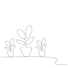 Plants in pot on table. Vector illustration