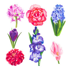 Hand painted acrylic or gouache floral elements set