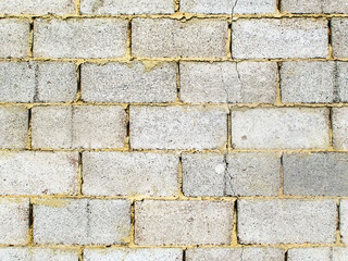 Wall of brick blocks