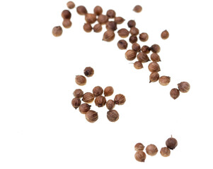round coriander seeds on white background