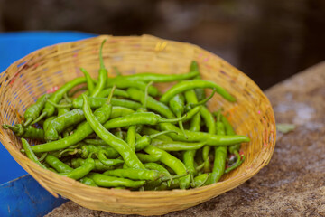 Fresh green chilly in wooden bowl