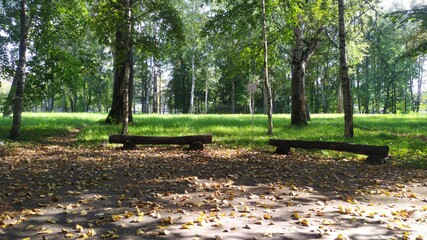 Obraz na płótnie Canvas bench in the park