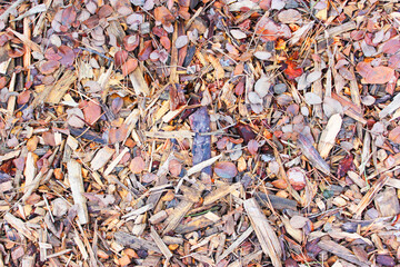 wood sawdust. pieces of tree bark . Brown wood texture. Abstract wood texture background. using wood bark as a natural background.