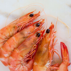 Fresh cooked Australian king prawns (shrimp)