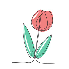 Continuous line Doodle of a tulip