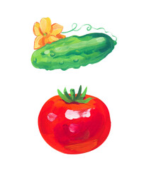 tomato and cucumber. Hand drawn acrylic or gouache illustration on white