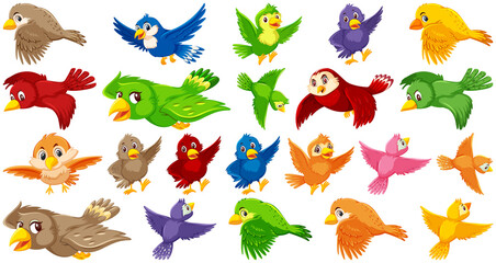 Set of bird cartoon character