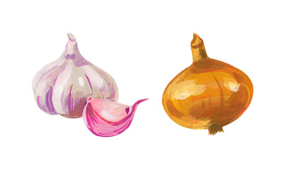 Onion and garlic. Hand drawn acrylic or gouache illustration on white