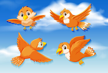 Orange birds in sky