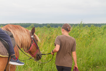 A girl leads a red horse by the reins in a field in summer. A rider on a horse or on horseback.