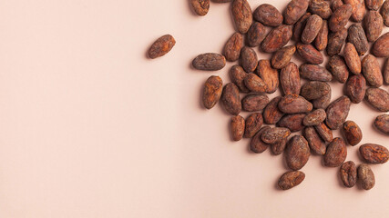 Cocoa beans on a pink background. Cocoa product. Copy space.