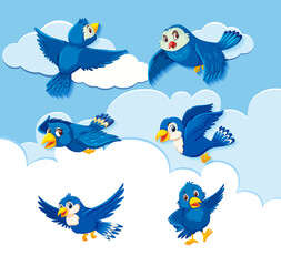 Set of bird character on sky background