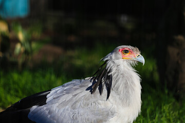 zoo
