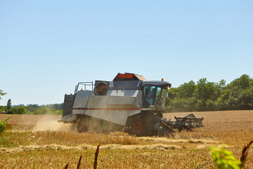 Combine harvester in action on wheat field. Process of gathering a ripe crop.