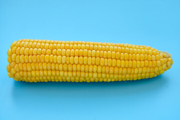 Sweetcorn Against Blue Background. Flat lay composition with tasty sweet corn cobs on color background. Cobs of ripe raw corn on blue background. Top view.